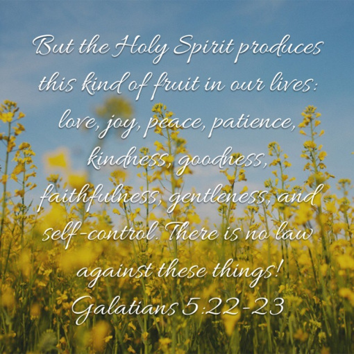 Galatians 5_22_23