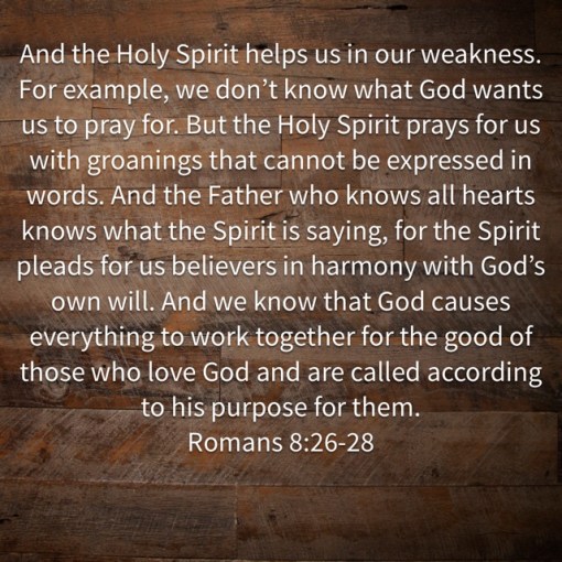 romans 8_26