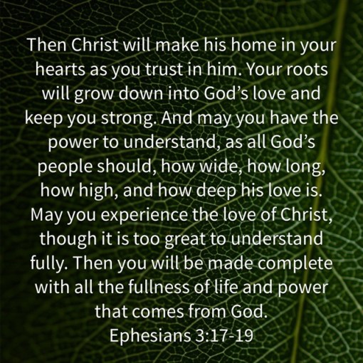 ephesians3_17_18 leaf