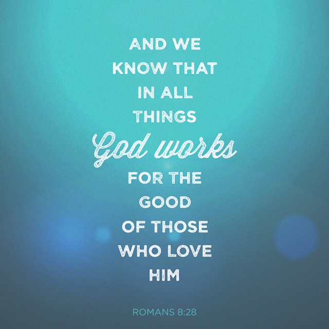 Romans 8_28